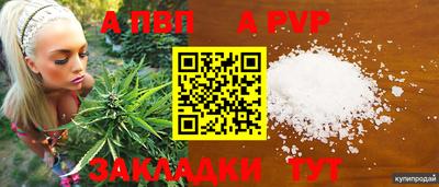 твердый Славгород