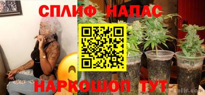 ПСИЛОЦИБИНОВЫЕ ГРИБЫ Сланцы