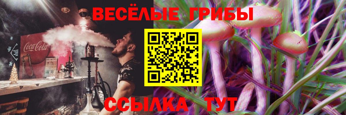Осинники  Псилоцибиновые грибы Psilocybine cubensis  Вход с VPN 
